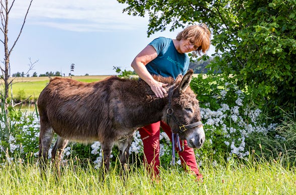 Eselwanderung Fichtenau