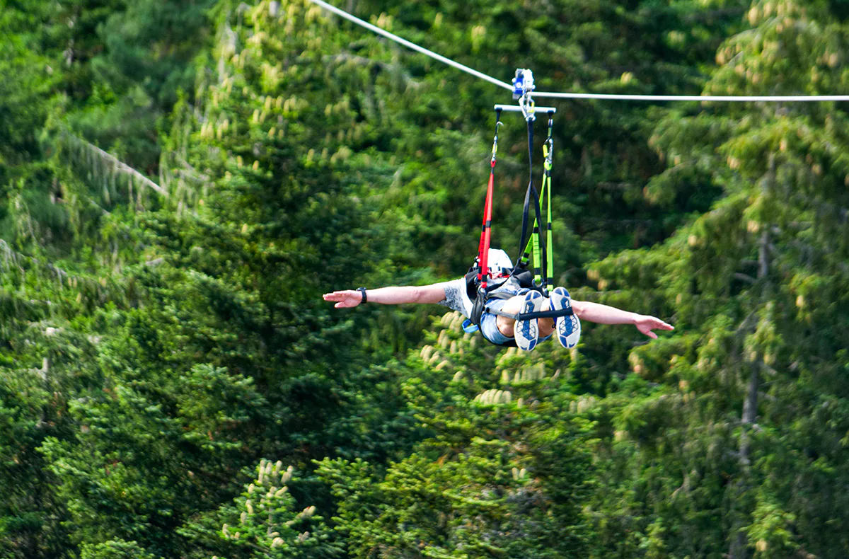 Flying Fox Schwarzwald für 2 Schömberg - 4