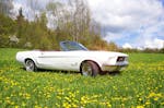 Ford Mustang Oldtimer mieten Thale