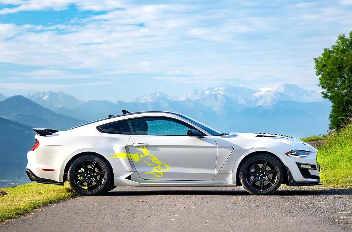 Ford Mustang Shelby mieten Amtzell (1 Tag) - 1