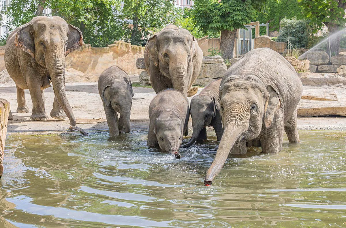 Frühstück & Zoobesuch Leipzig für 2 - 2