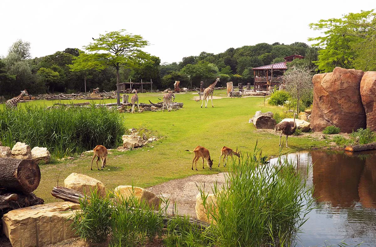 Frühstück & Zoobesuch Leipzig für 2 - 12