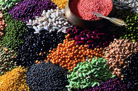 5 Elemente Kochkurs Basel