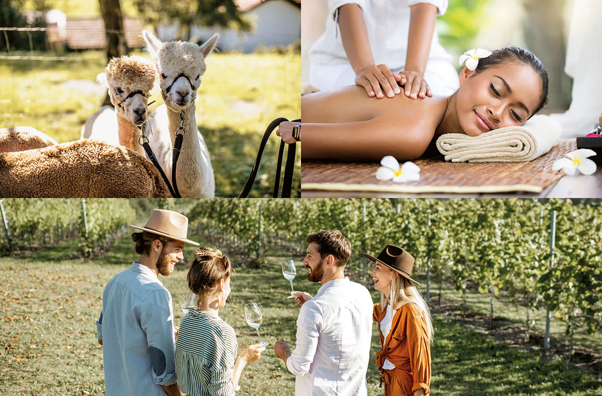 Geschenkbox Happy Times - 3