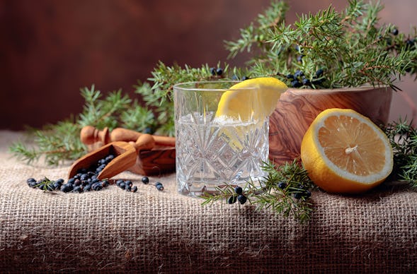 Gin Tasting Alzenau inkl. 4-Gänge-Menü