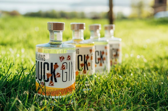 Gin Brennkurs Wallhausen mit 5-Gänge-Menü