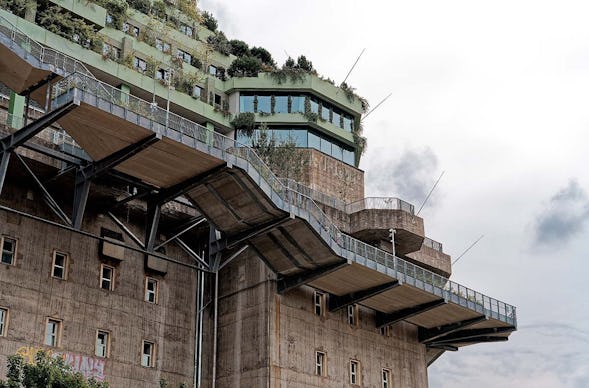 Grüner Bunker-Tour auf St. Pauli