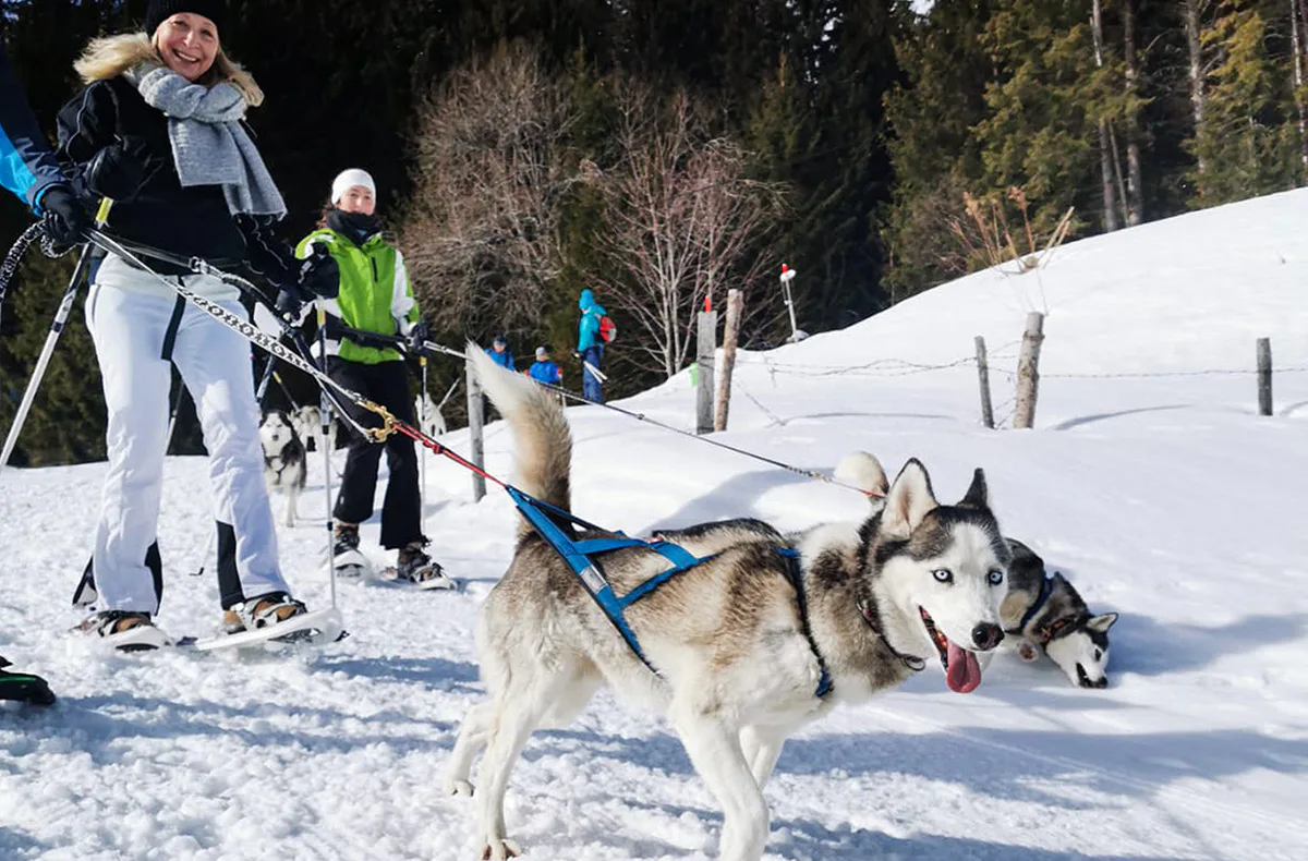 Husky Schneeschuhtrekking Hohentauern für 2 - 3