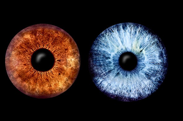 Iris Fotografie für 2 Haßfurt