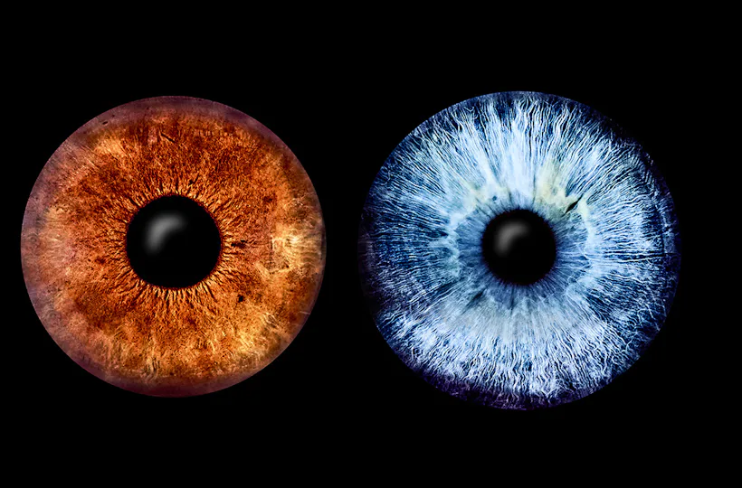 Iris Fotografie für 2 Haßfurt