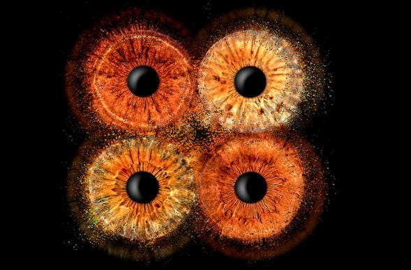 Irisfotografie Familie Haßfurt