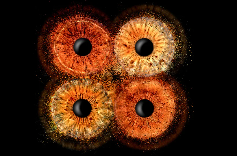 Irisfotografie Familie Haßfurt