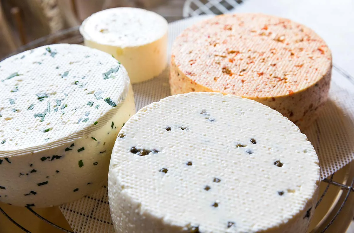 Käse selber machen Hutthurm - 3