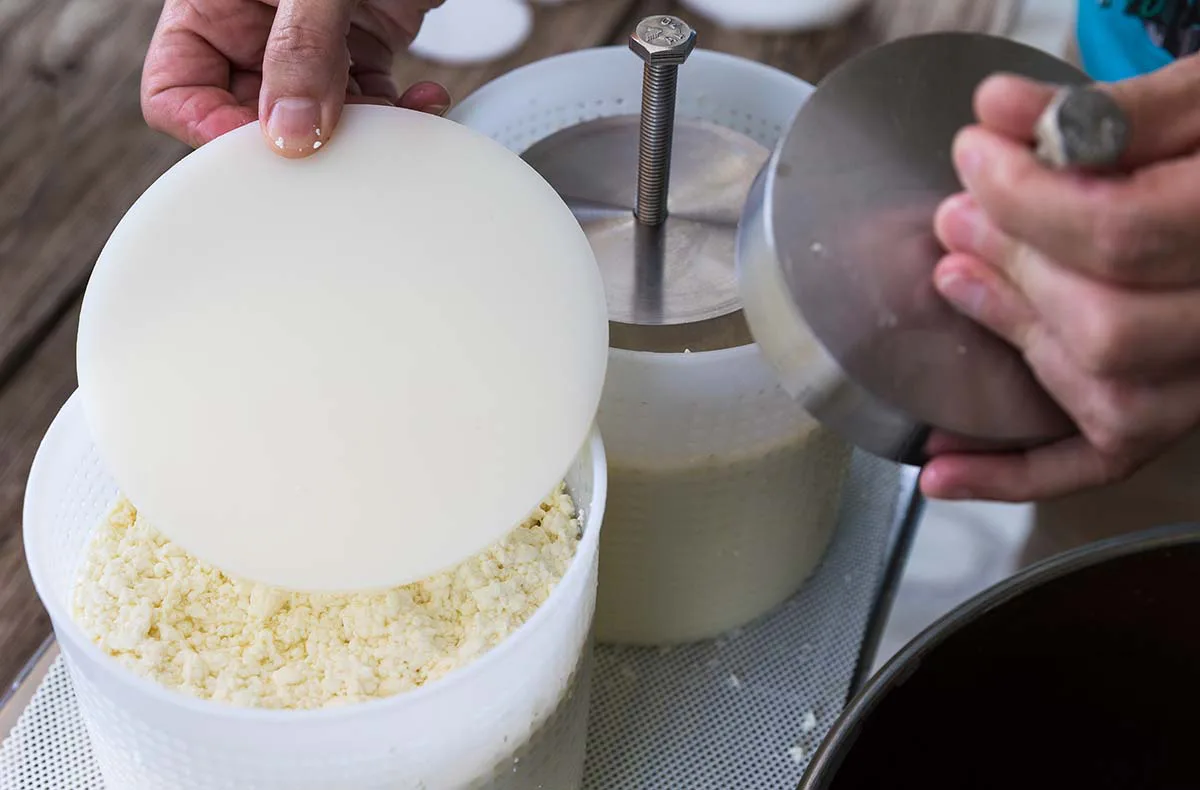 Käse selber machen Hutthurm - 5