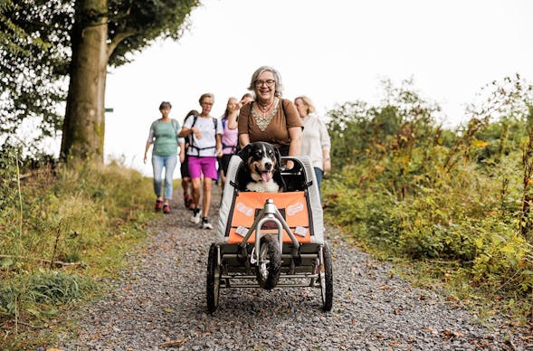 Kulinarische Städtewanderung Michelstadt