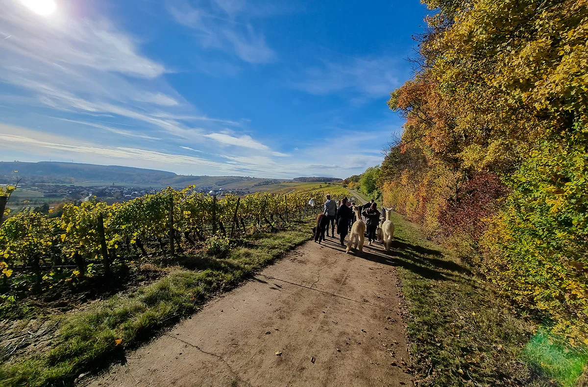 Kurzurlaub für bis zu 5 Personen Dipbach (2 Nächte) - 1