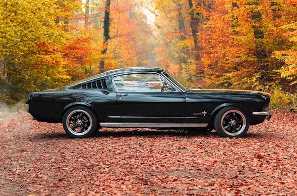 1966er Mustang Fastback mieten Hamburg (8 Std.)