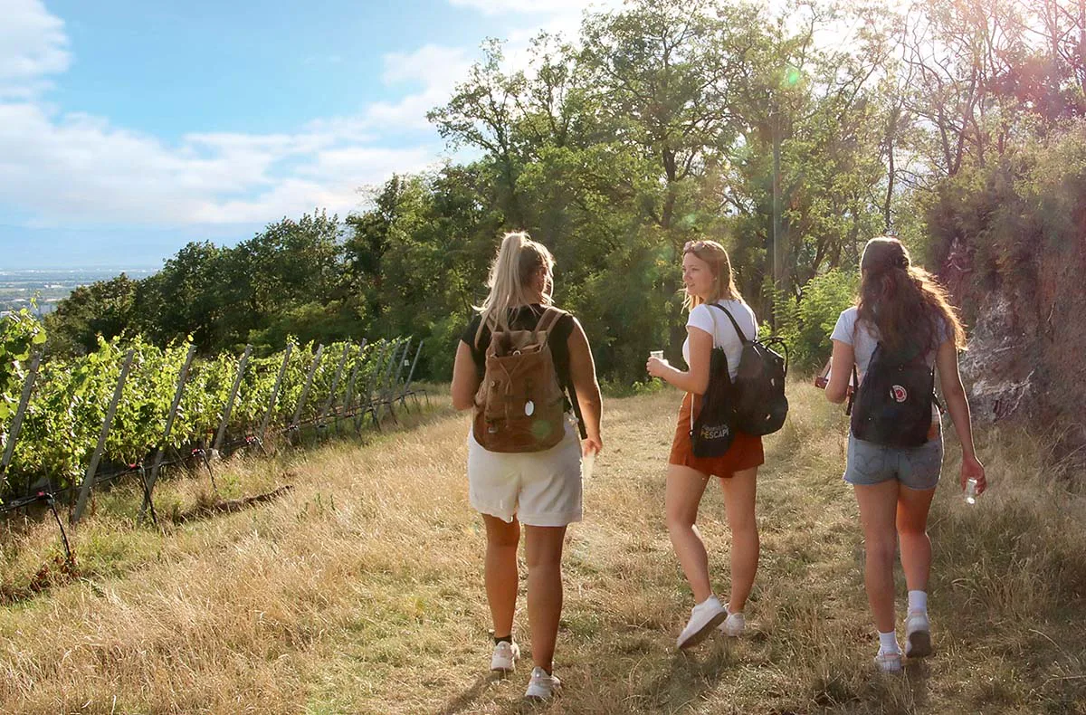 Outdoor Escape Gruppe - Anfänger "In Vino Veritas" Konz - 4
