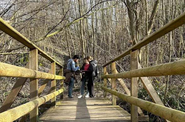 Outdoor Escape Gruppe - Fortgeschritten "Fluch des Sonnenkönigs" Sternenfels