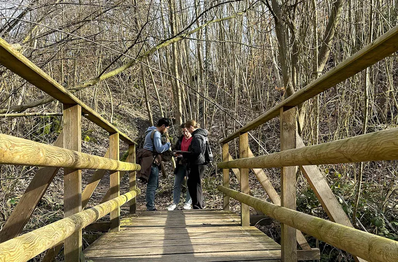 Outdoor Escape Gruppe - Fortgeschritten "Fluch des Sonnenkönigs" Sternenfels