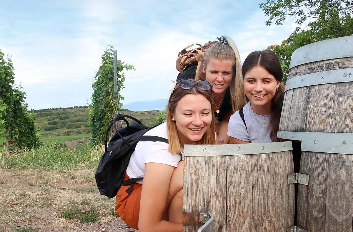 Outdoor Escape Gruppe - Anfänger "In Vino Veritas" Weil am Rhein - 4