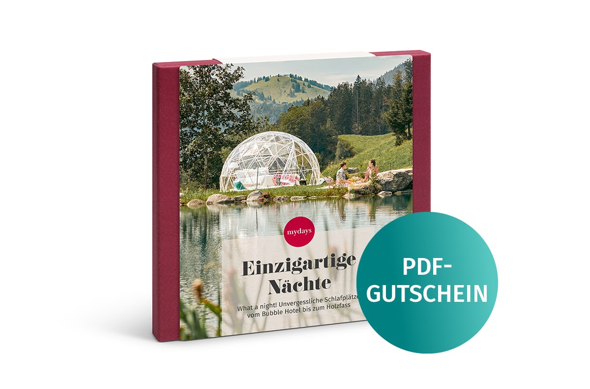 Einzigartige Nächte PDF