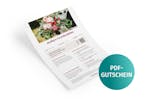 Geschenkbox Just Married als PDF