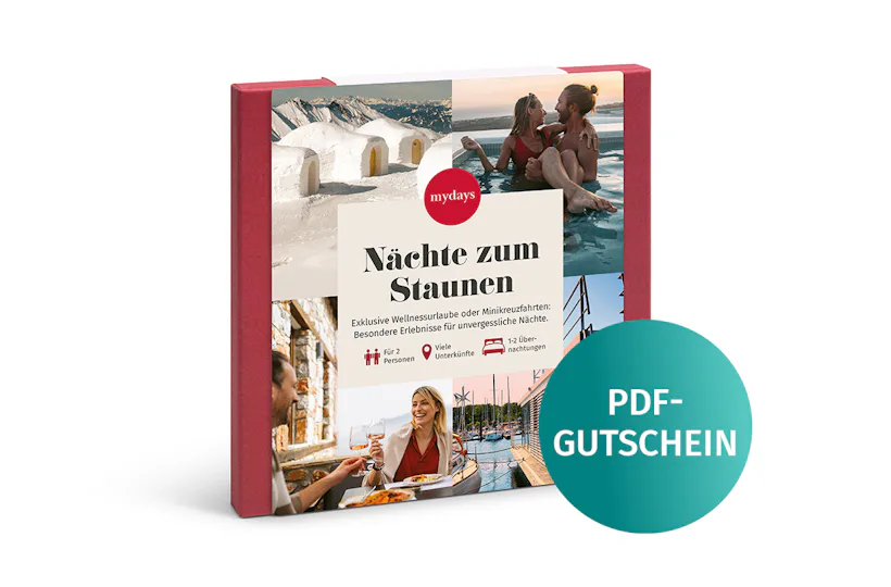 Nächte zum Staunen als PDF