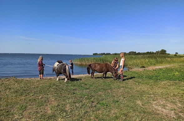 Pony Spaziergang Hirschburg