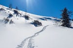 Schneeschuhwanderung Reit im Winkl mit Rodeln