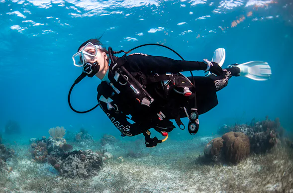 Schnuppertauchen Gundelfingen a.d.Donau