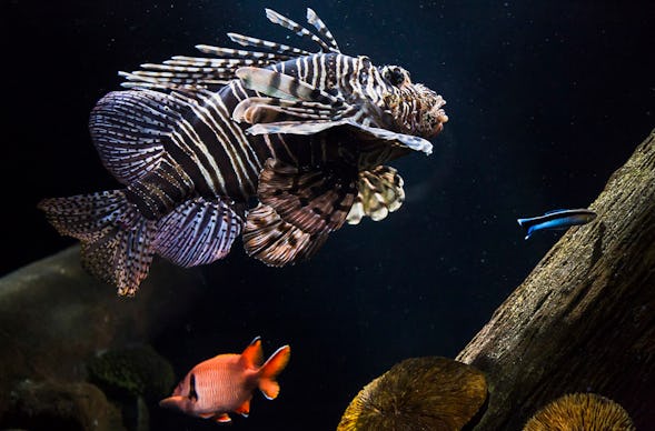 Sea Life München