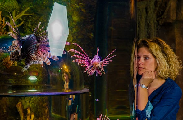 Sea Life München (1 EW + 1 Kleinkind)