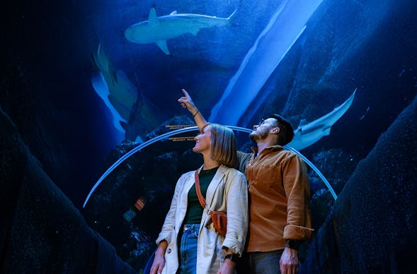 Sea Life Oberhausen (1 EW + 1 Kleinkind)