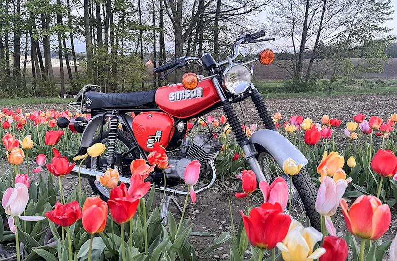 Simson Moped fahren Chemnitz (1 Tag)