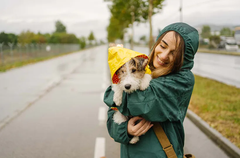 Städtetrip mit Hund Düsseldorf für 2 (1 Nacht)
