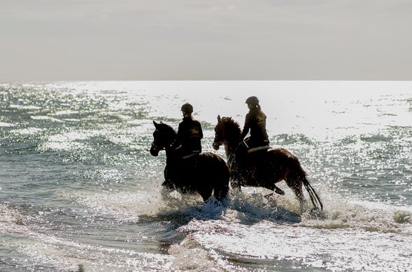 Strandritt Ostsee mit Probestunde Hirschburg (Mai - Sept.)