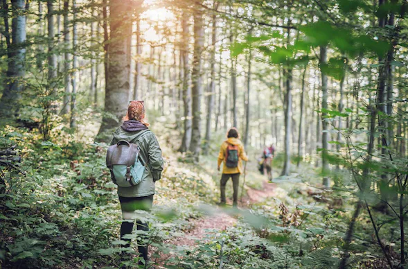 Survival Tag für 2 Rostock