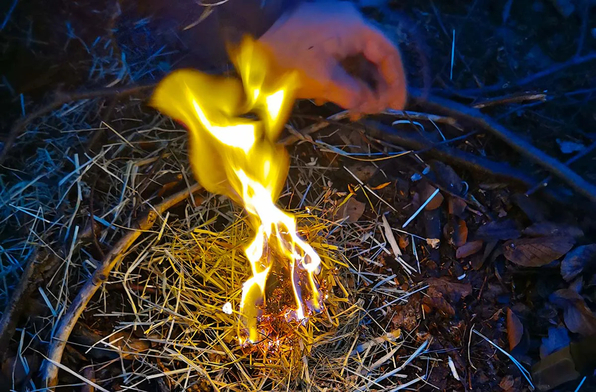 Survivalkurs Wernigerode - 1