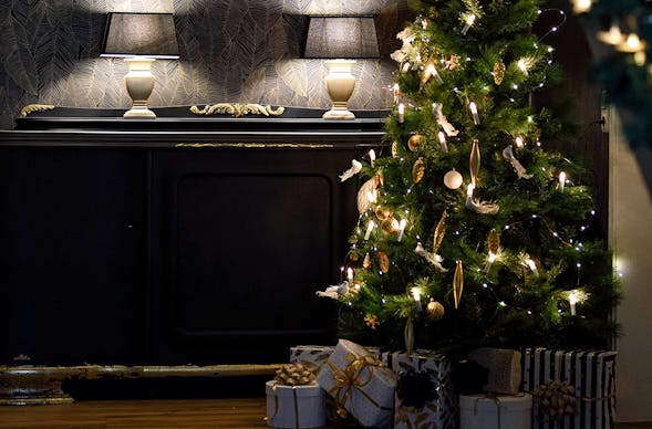 Weihnachtsurlaub an der Nordsee Krumstedt für 8 Personen (7 Nächte)