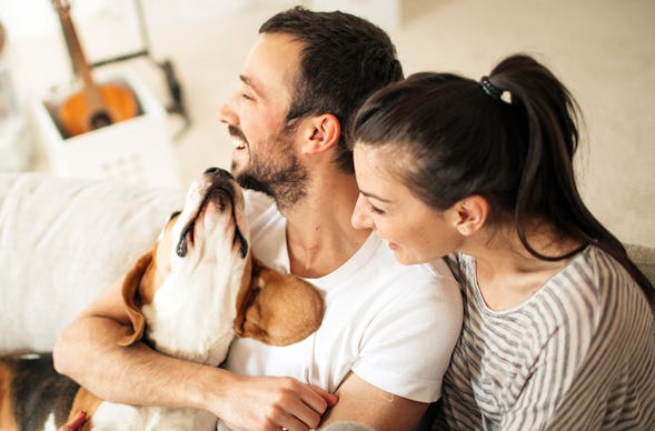 Urlaub in einer Ferienwohnung mit Hund für 2 (2 Nächte) - St. Oswald