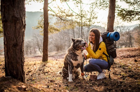 Urlaub mit Hund im Harz für 2 (2 Nächte)