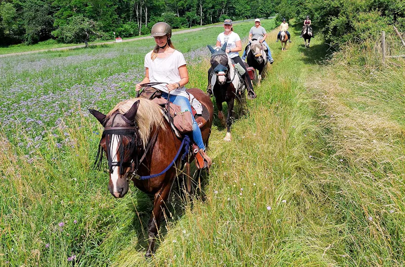 Wanderreiten mit Picknick Weiler bei Monzingen