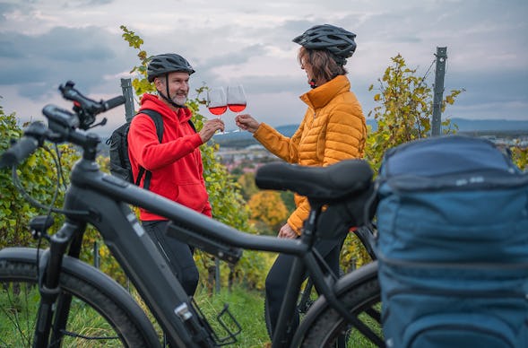 Wein Tasting mit Radtour Flörsheim-Dalsheim