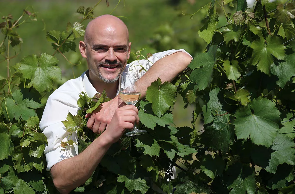 Weinbergwanderung Lorch - 2