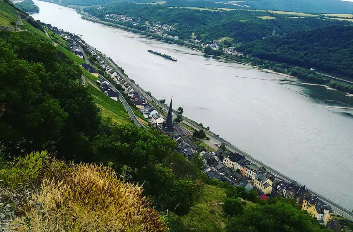 Weinbergwanderung Lorch - 4