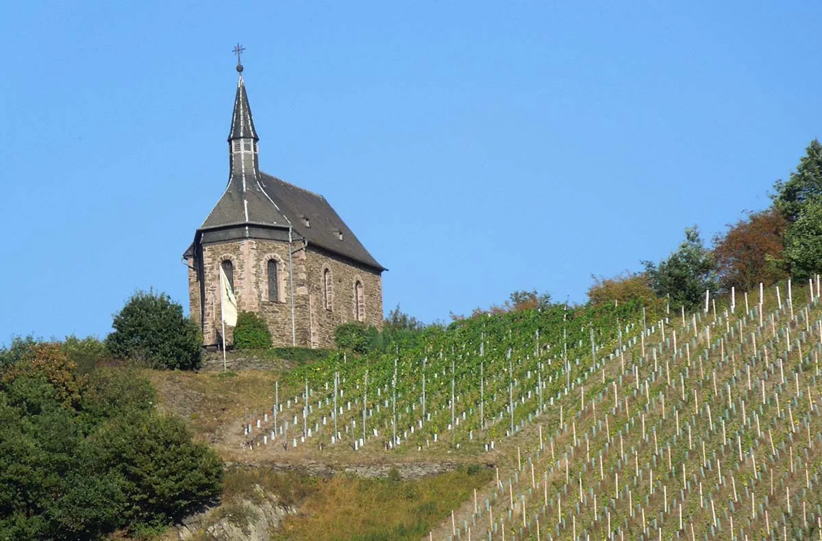 Weinbergwanderung Lorch - 3