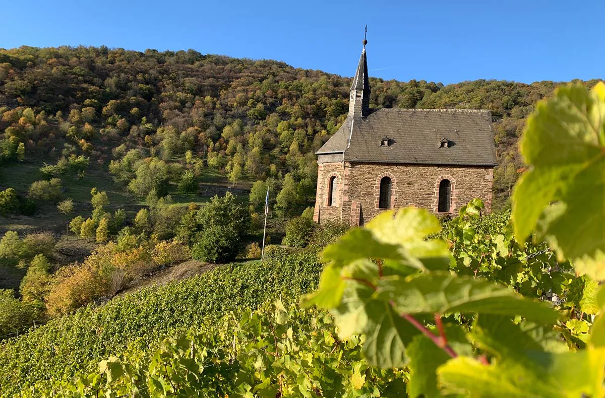 Weinbergwanderung Lorch - 1
