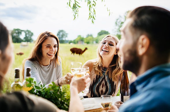 Weinprobe auf der Alpakaweide für 2