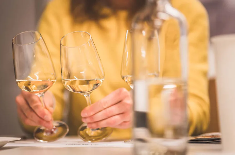 Weinseminar für Einsteiger Thun